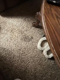 Carpet needs to be replaced.