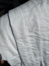 filthy threadbare polyester sheets that were dropped off in a pile overnight at the door of the apartment after multiple calls