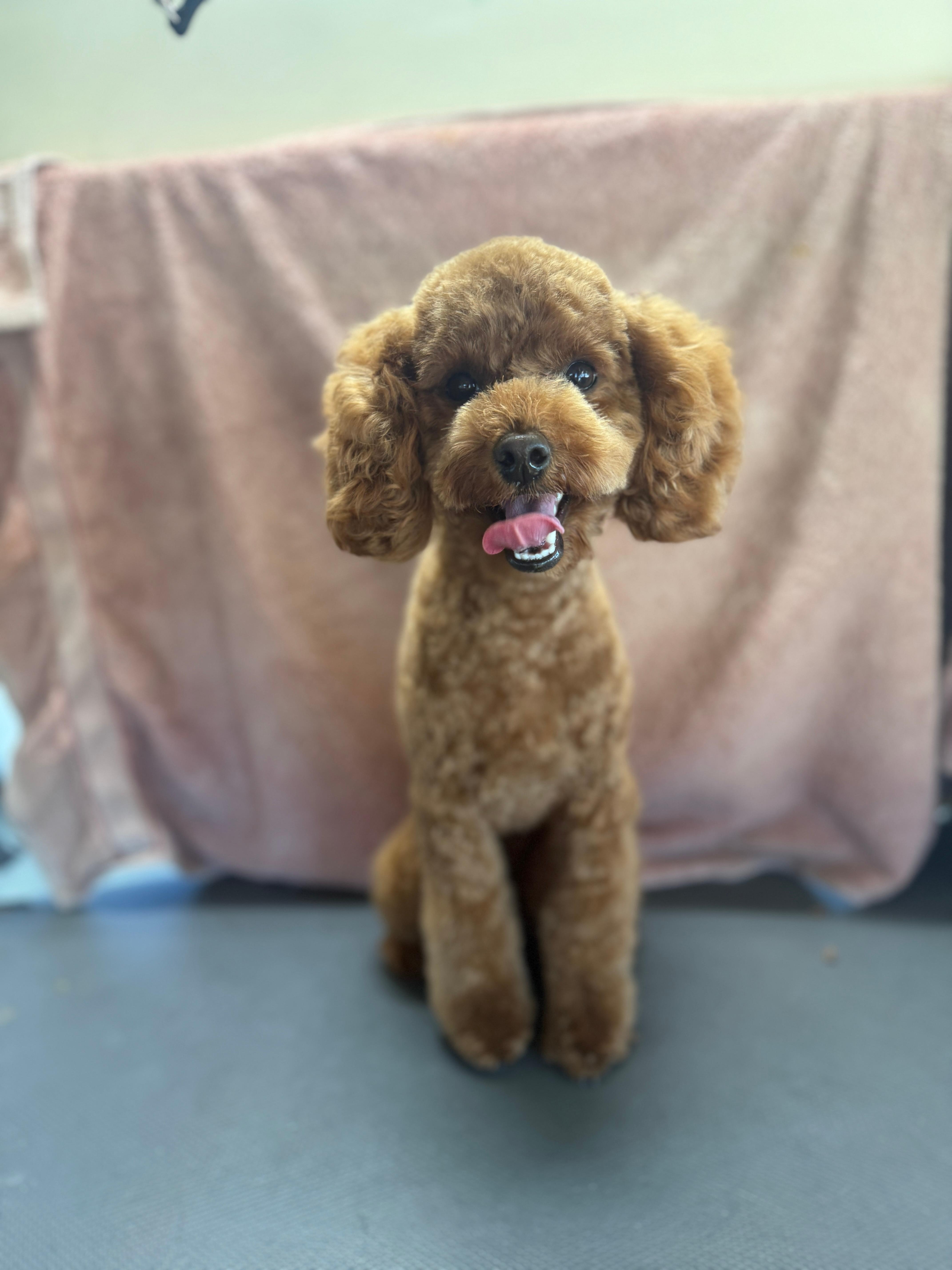 Sadie loved it also...