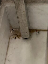Under sink in bathroom. I followed the roach to this location.