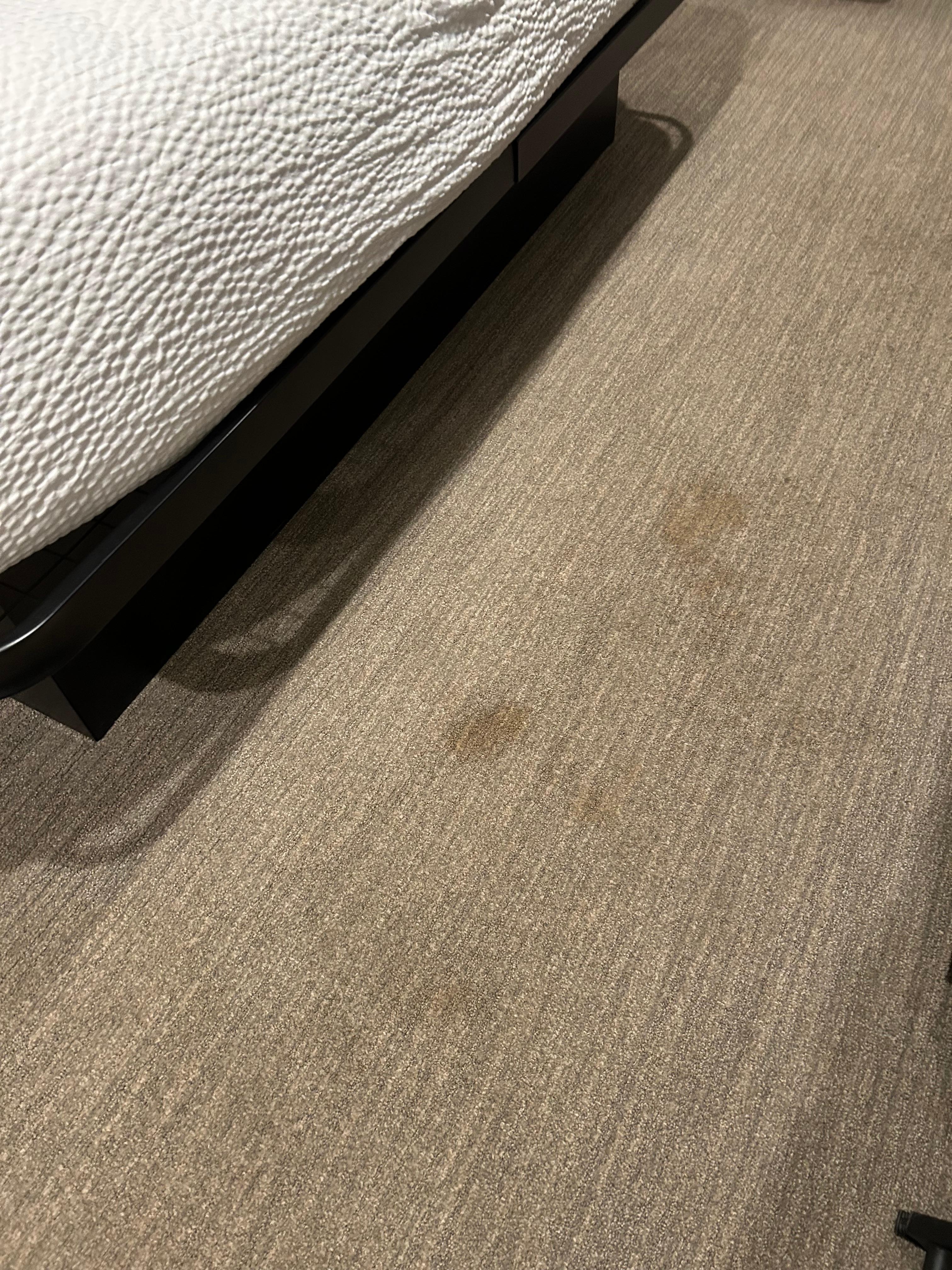 Stains in the carpet