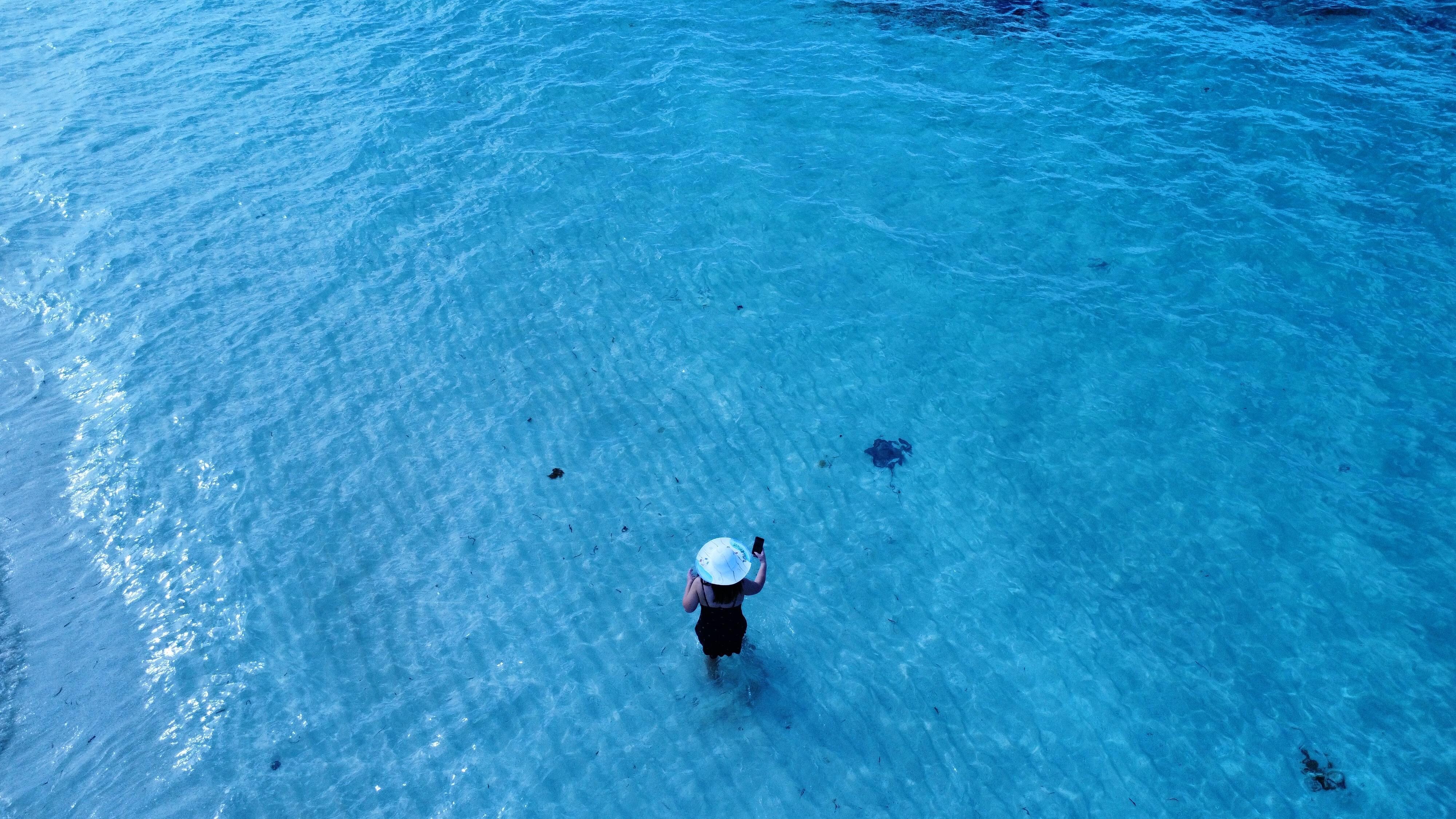 Stingray in the water 