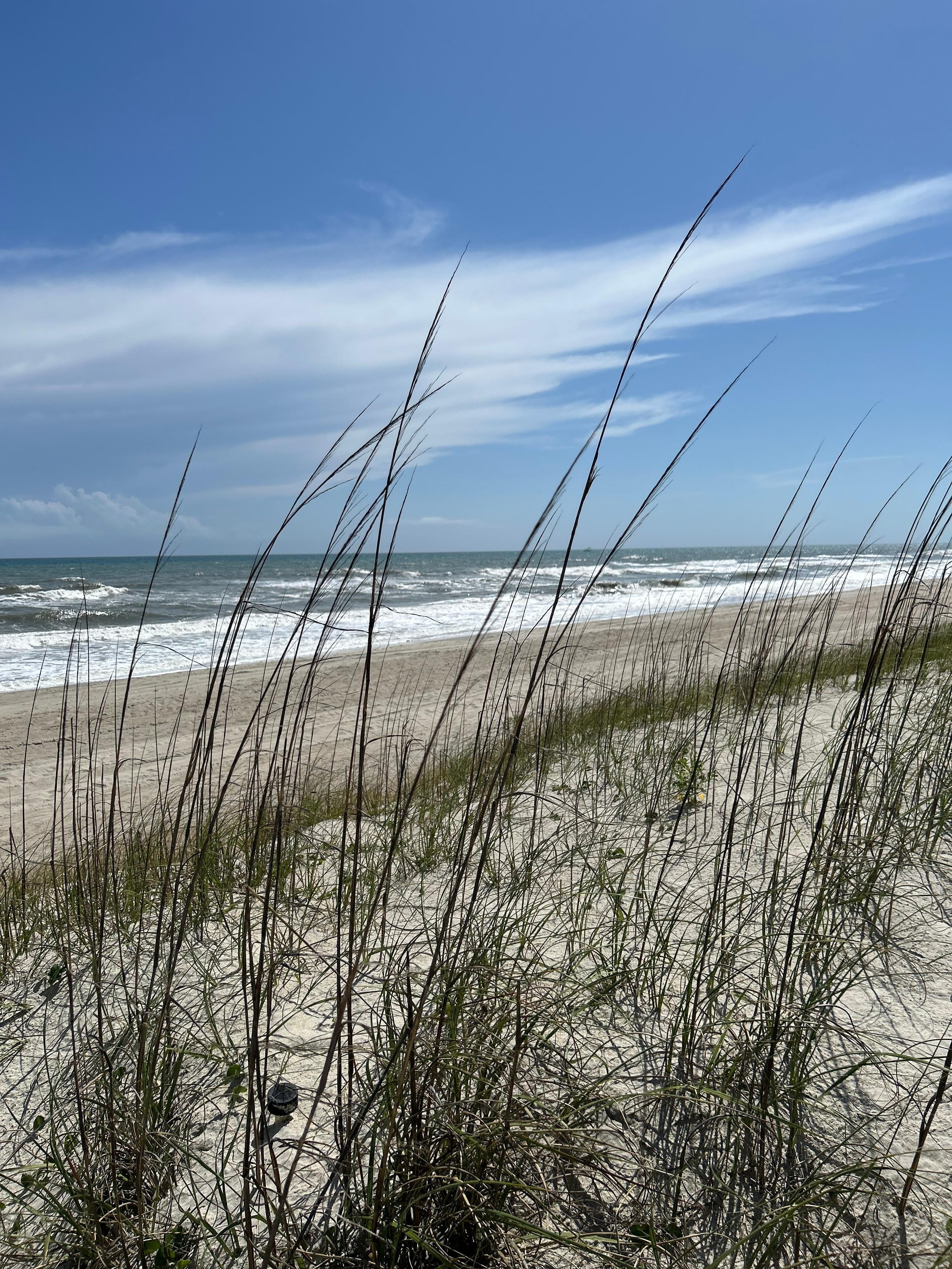 View of the shoreline near the house