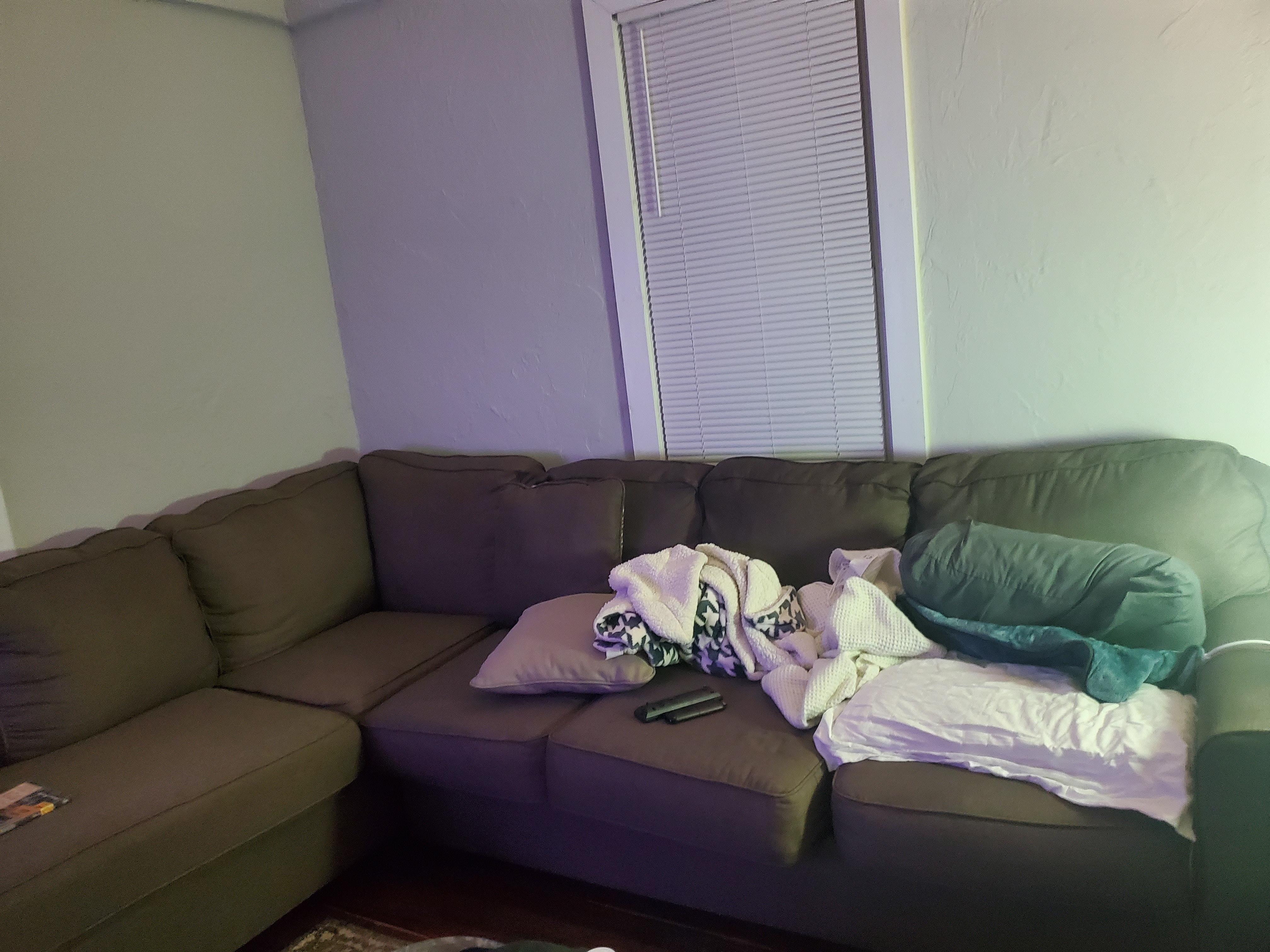 Lg sofa w/ 2 extra loveseats not pic