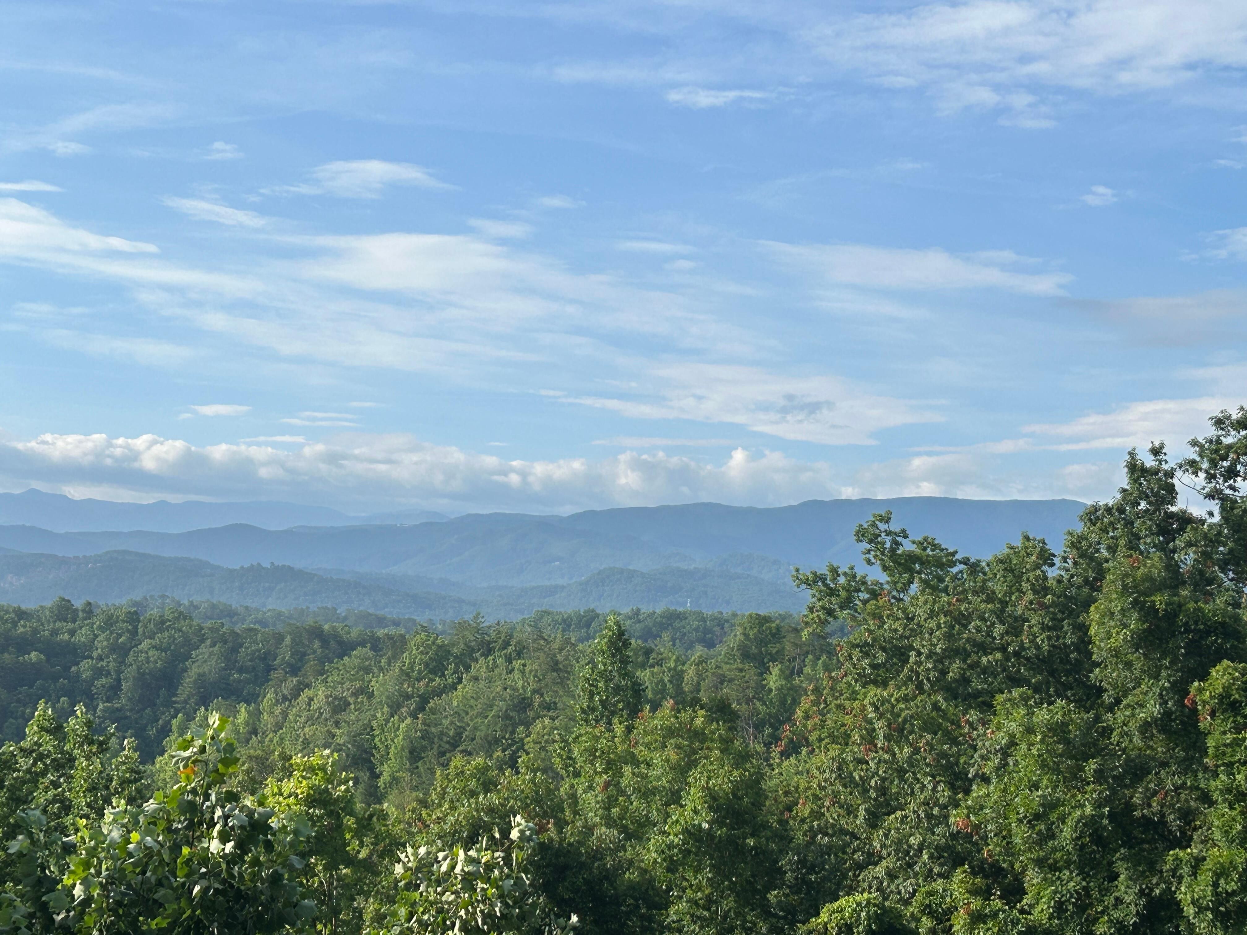 View from the deck 