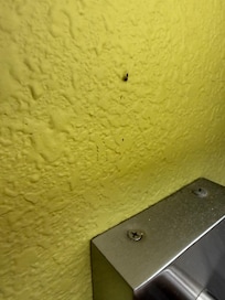 One near bed