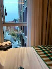 Utsikt til hyggelig bakgård fra rommet