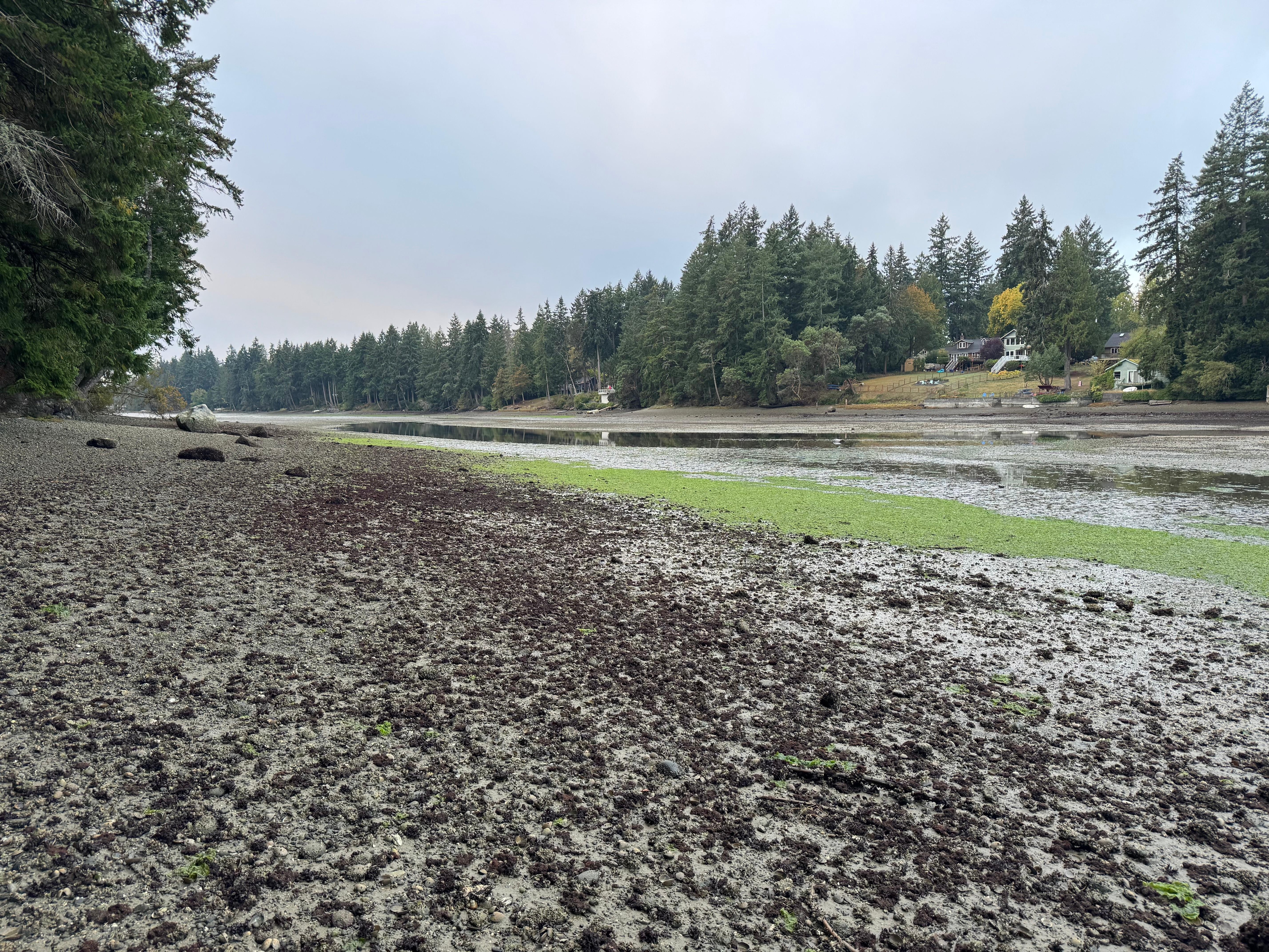 Down by the water at low tide