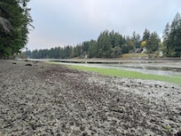 Down by the water at low tide