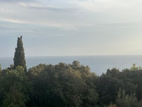 Utsikten från rummet