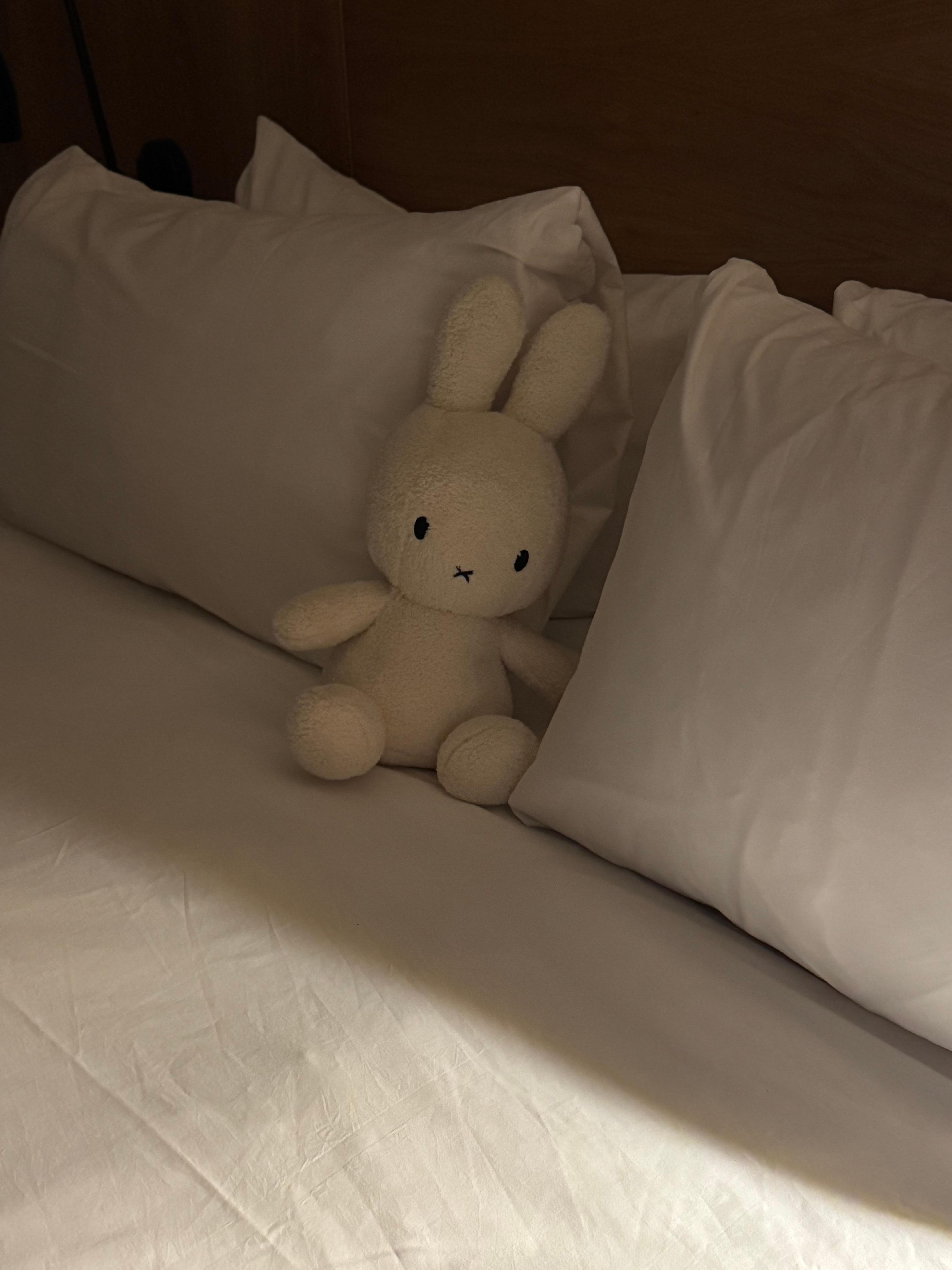 Making our bed and making our new bunny part of it