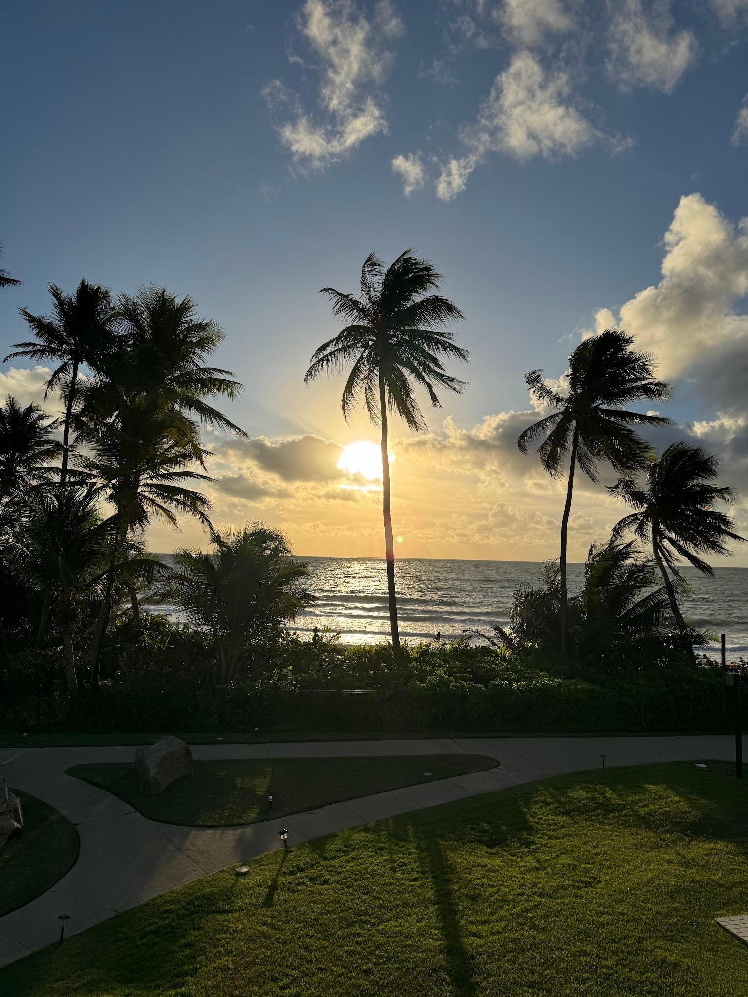 Early morning view from the villa