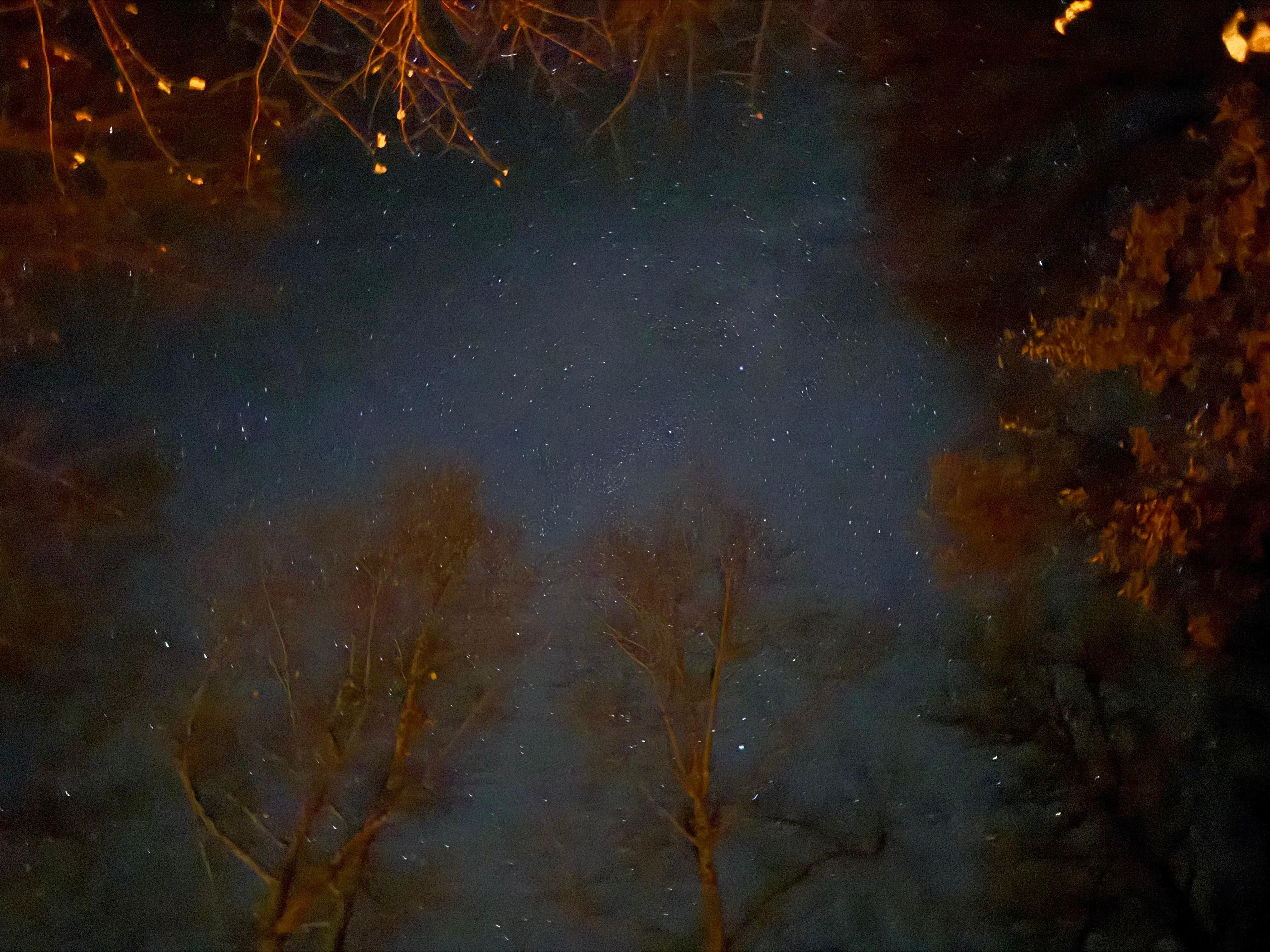 Stars directly over the firepit out back 