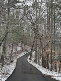 The road next to the cabin.