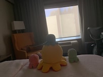 Brought my octopus 🐙 plushie pets with me while traveling