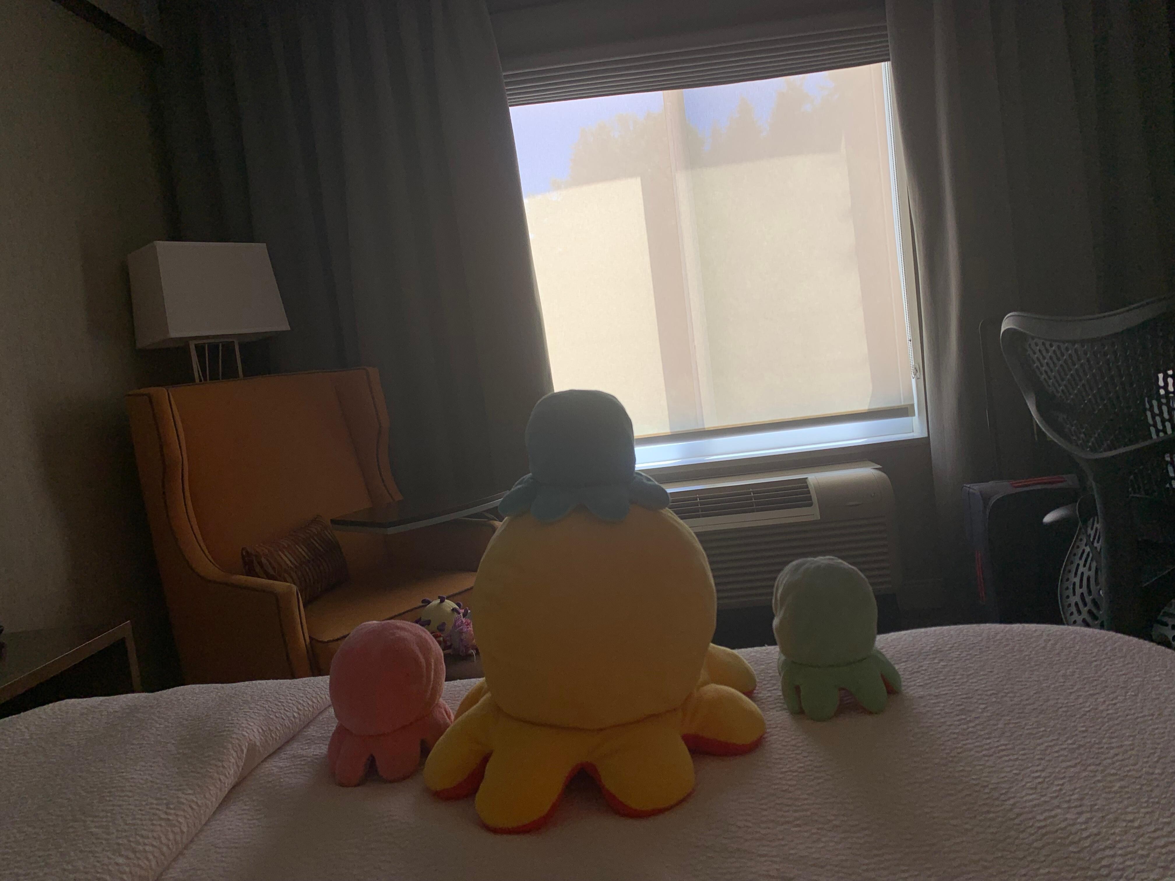 Brought my octopus 🐙 plushie pets with me while traveling 