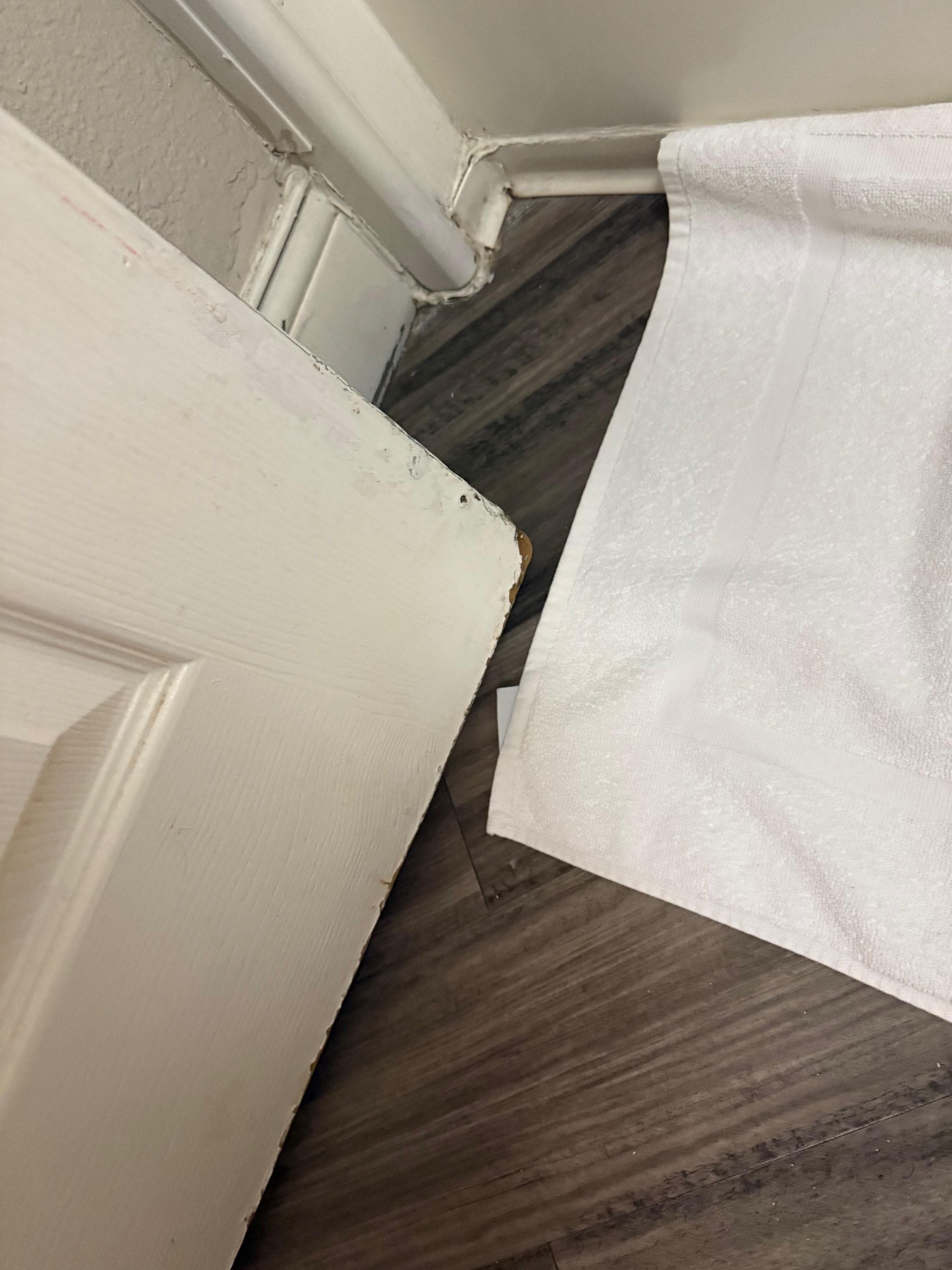 Chewed and swelled door