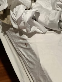 one of the roaches caught in the bed