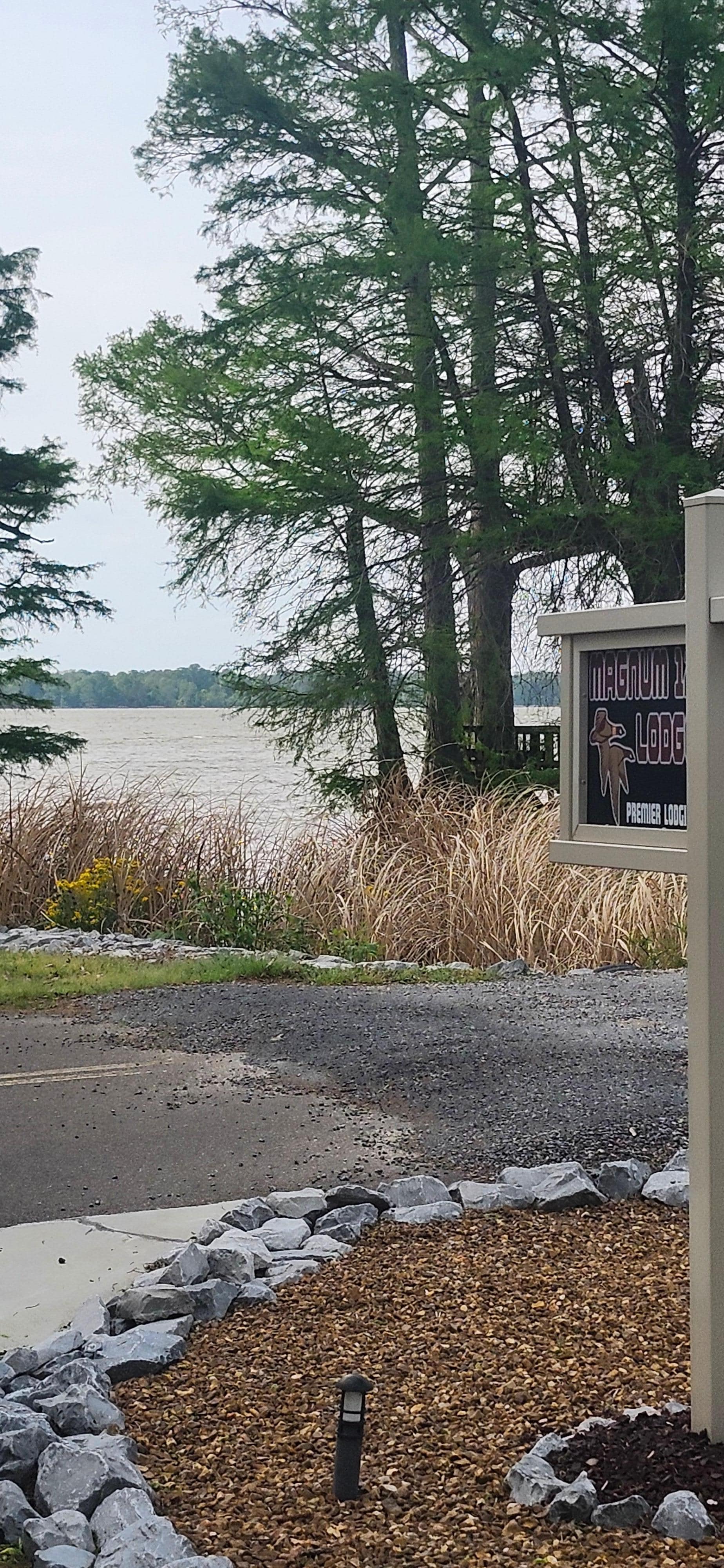 View from driveway to the lake that is across the street.