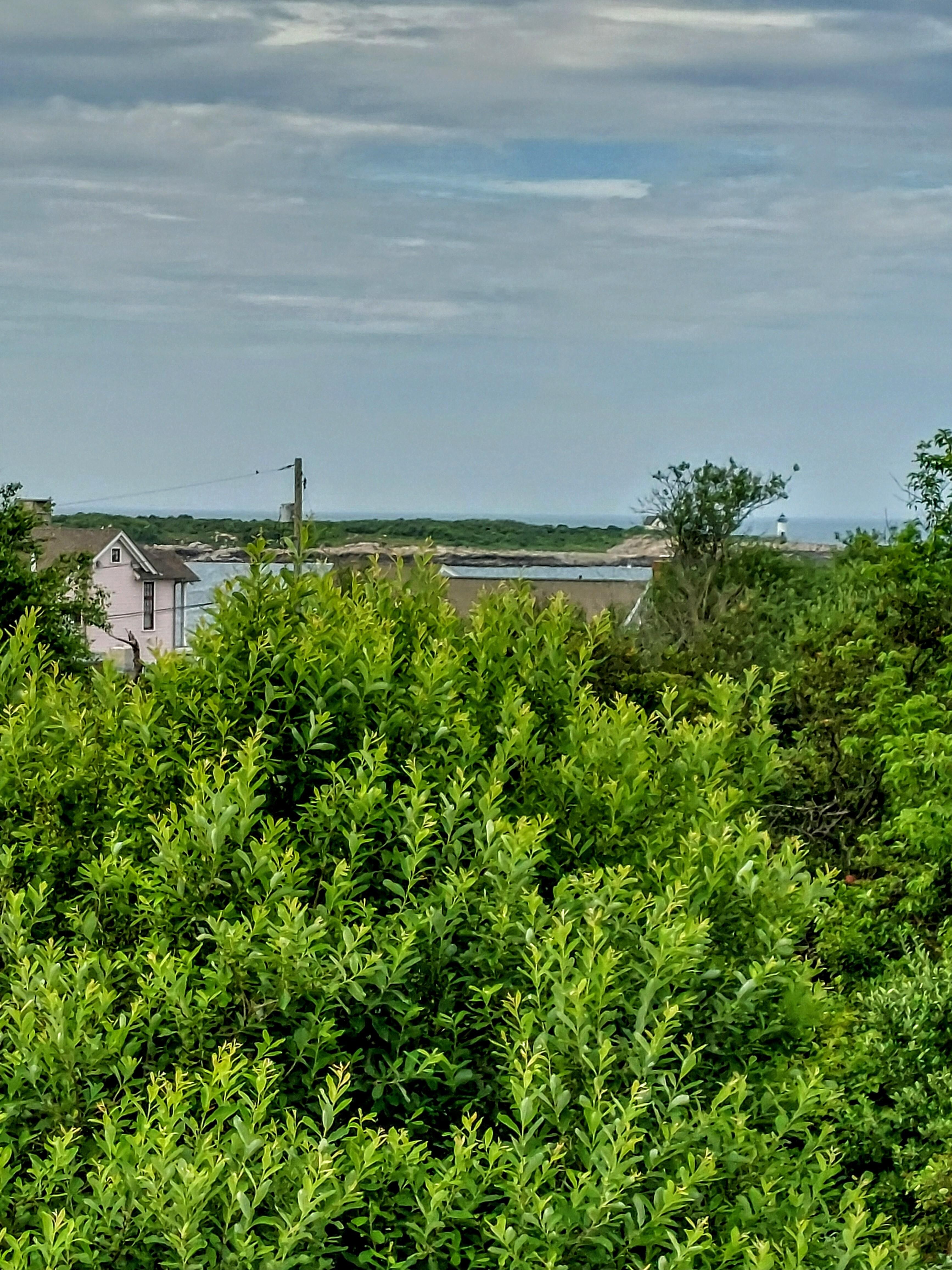 View from the apt. window