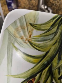 Dirty dishes. There were more dirty pictures but youre only able to upload 8 photos.