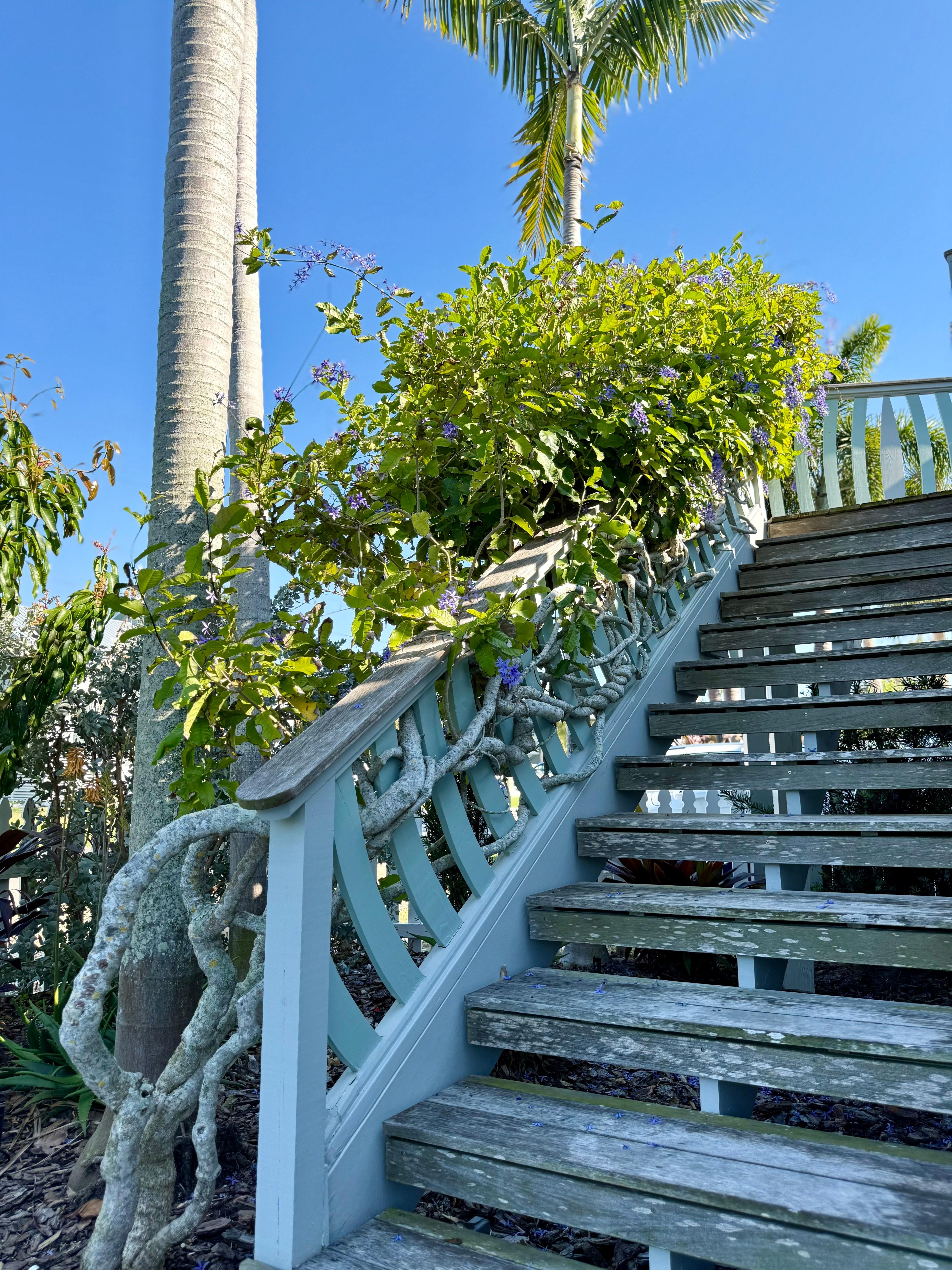 This staircase with the tree intertwined was charming and lovely.