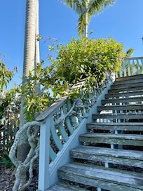 This staircase with the tree intertwined was charming and lovely.