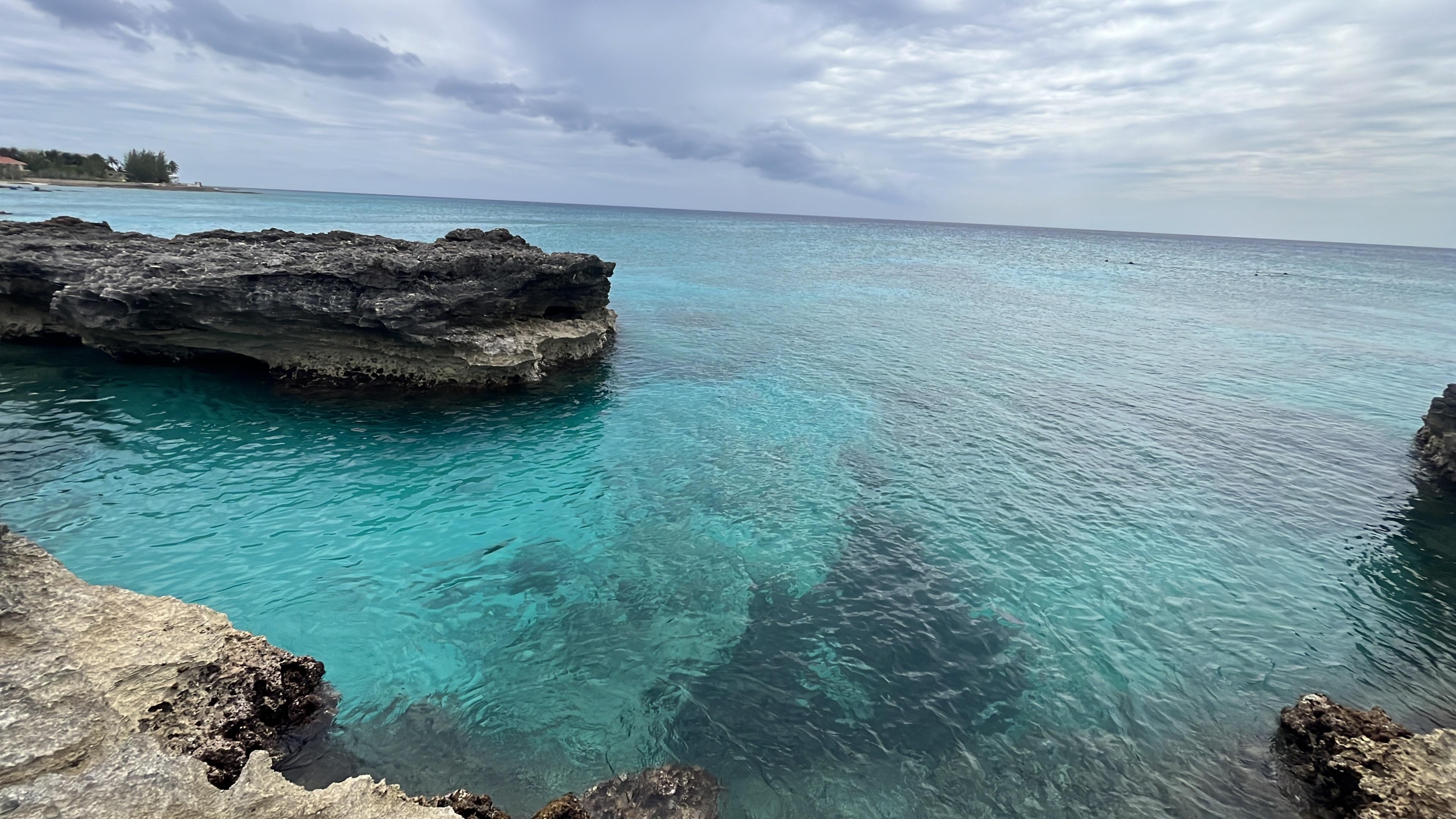 Smith Cove area 
100 m away