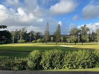 View from back porch table