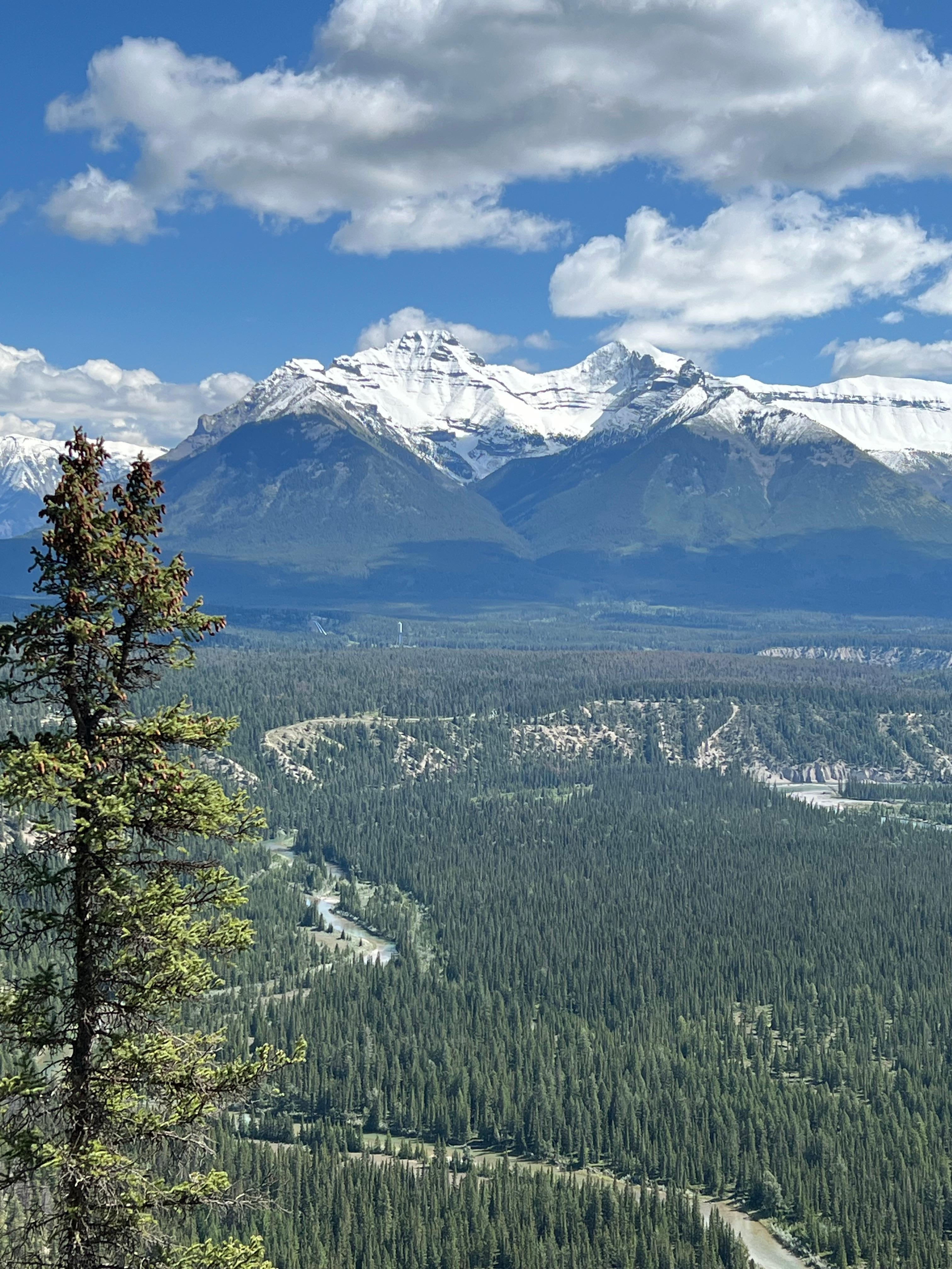 View from Tunnel Mountain