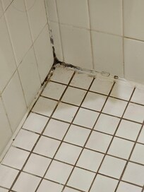 corner mold