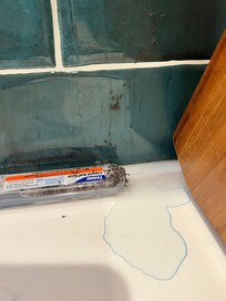 Terro ant traps the house had in a pack to use under the sink that we placed on the counter next to the knife block. We used two of these.