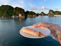We got to make our own spring rolls
