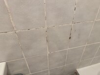 Mold everywhere