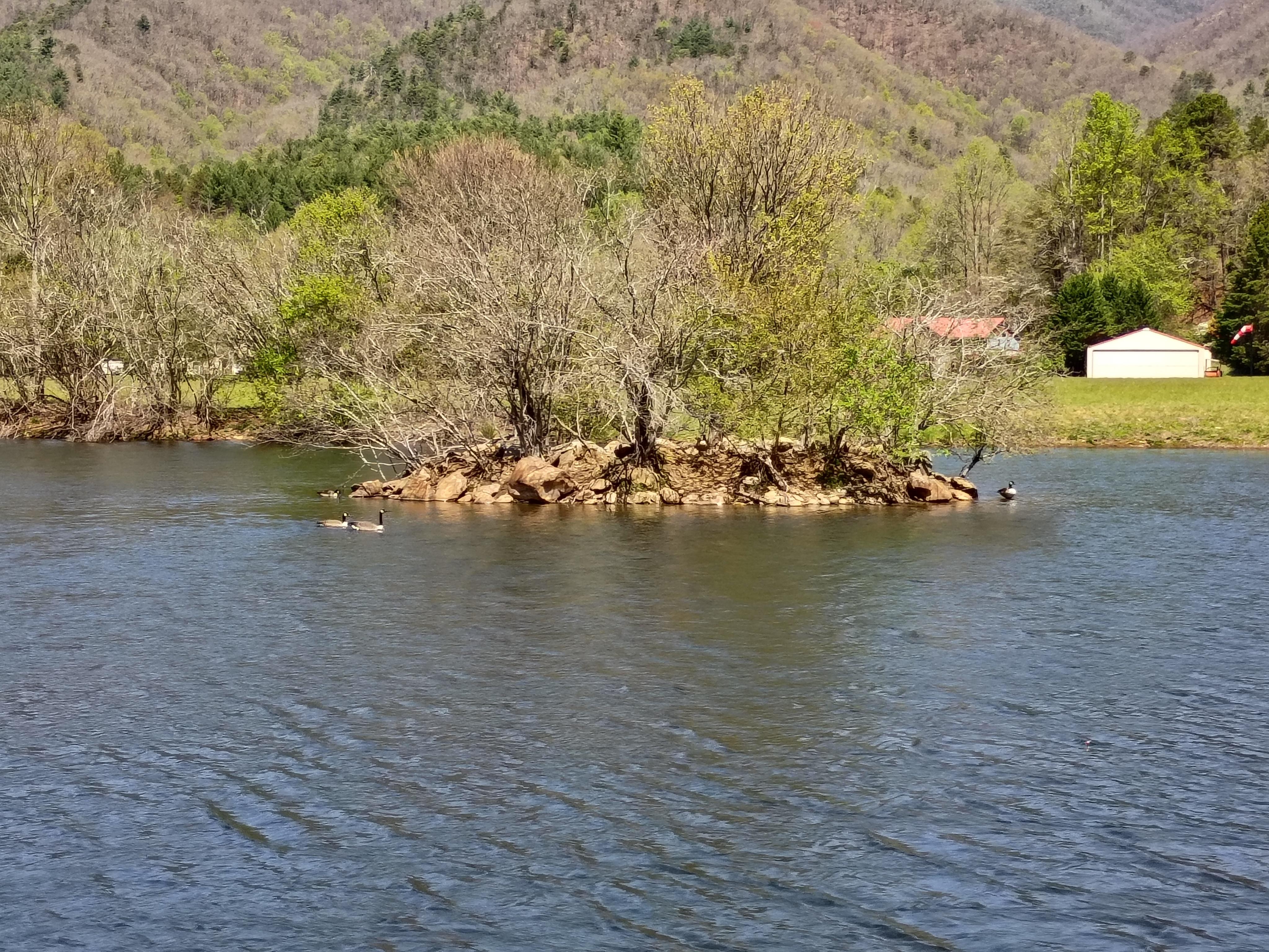 The little island in the middle of the pond.