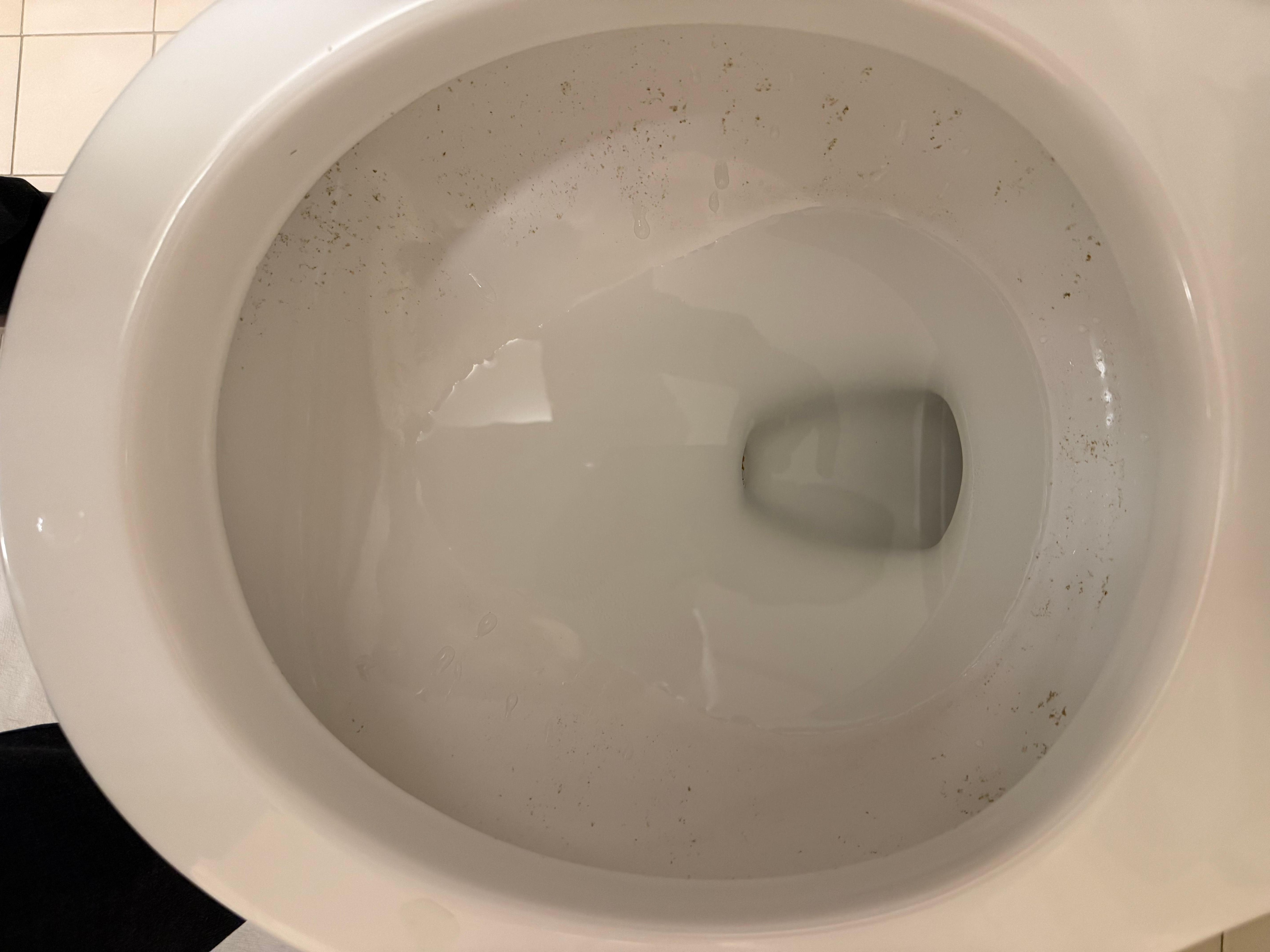 After repeated flushing