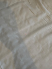 Blood stain on the bed