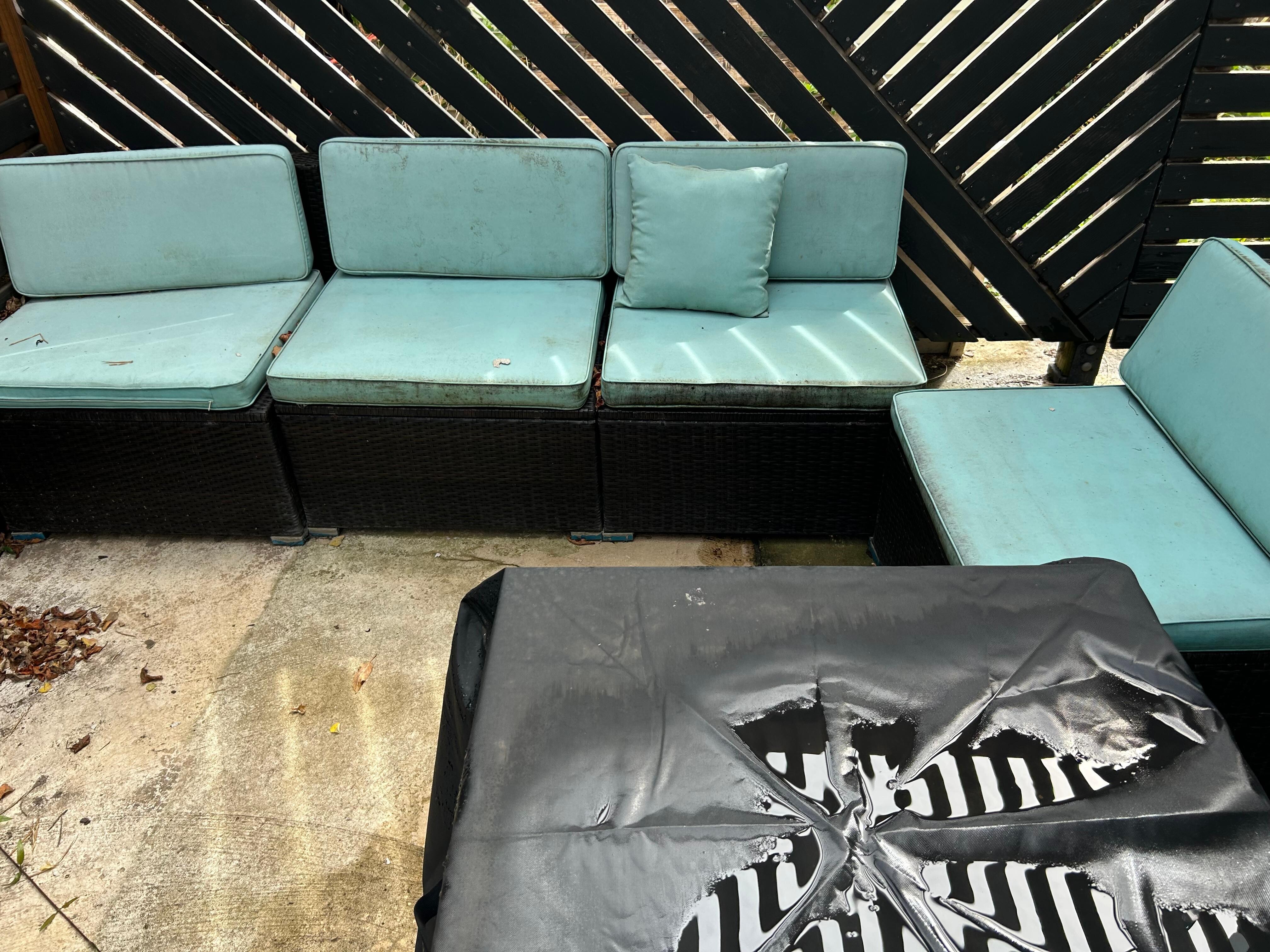Moldy cushions