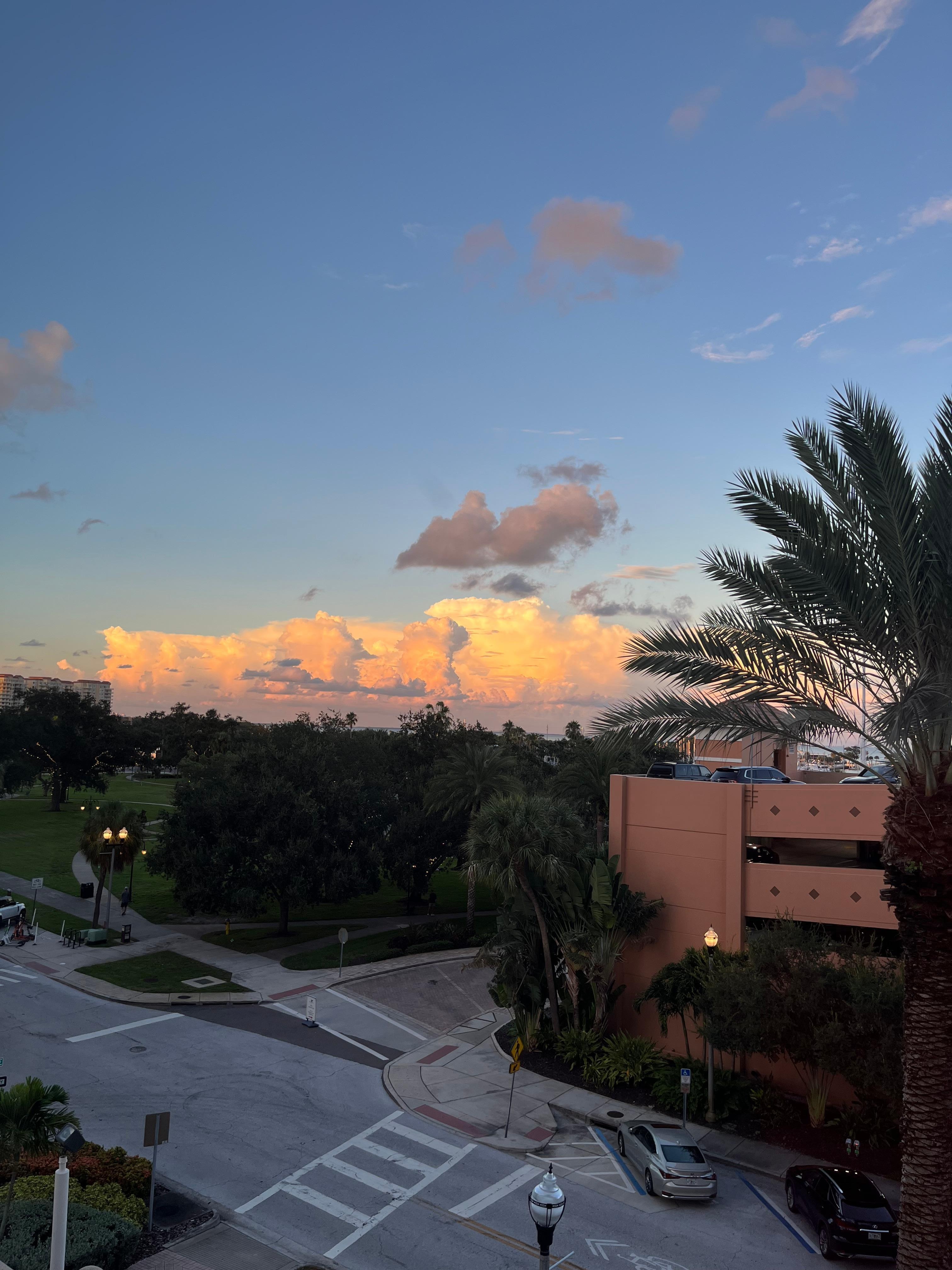 View out our 4th floor window