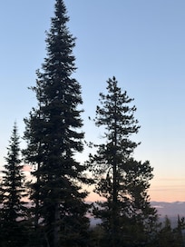 View out the front window