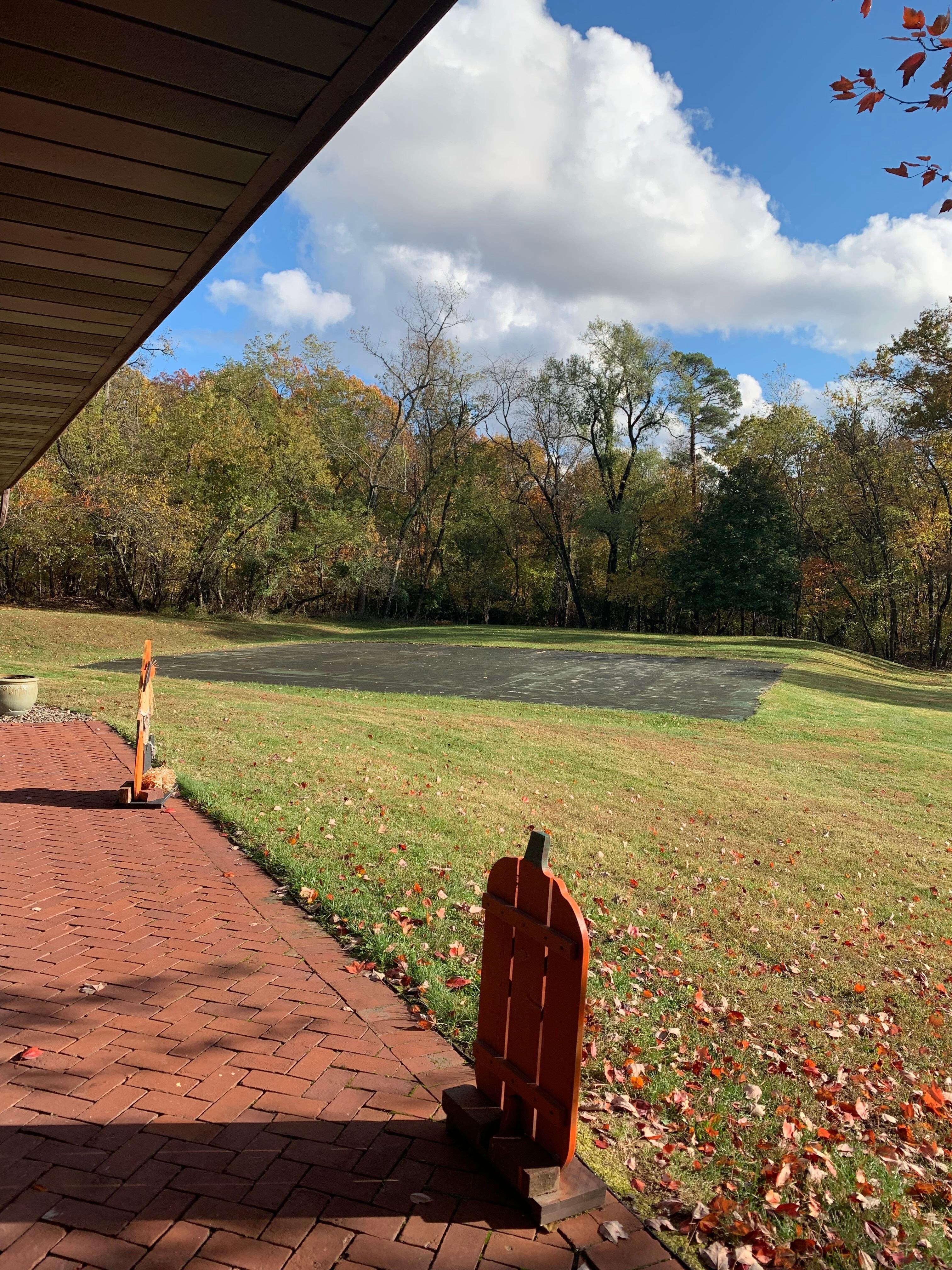 Part of the property view from our room 