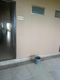 roof leaking which attracted more mosquitos