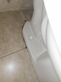 Urine around toilet