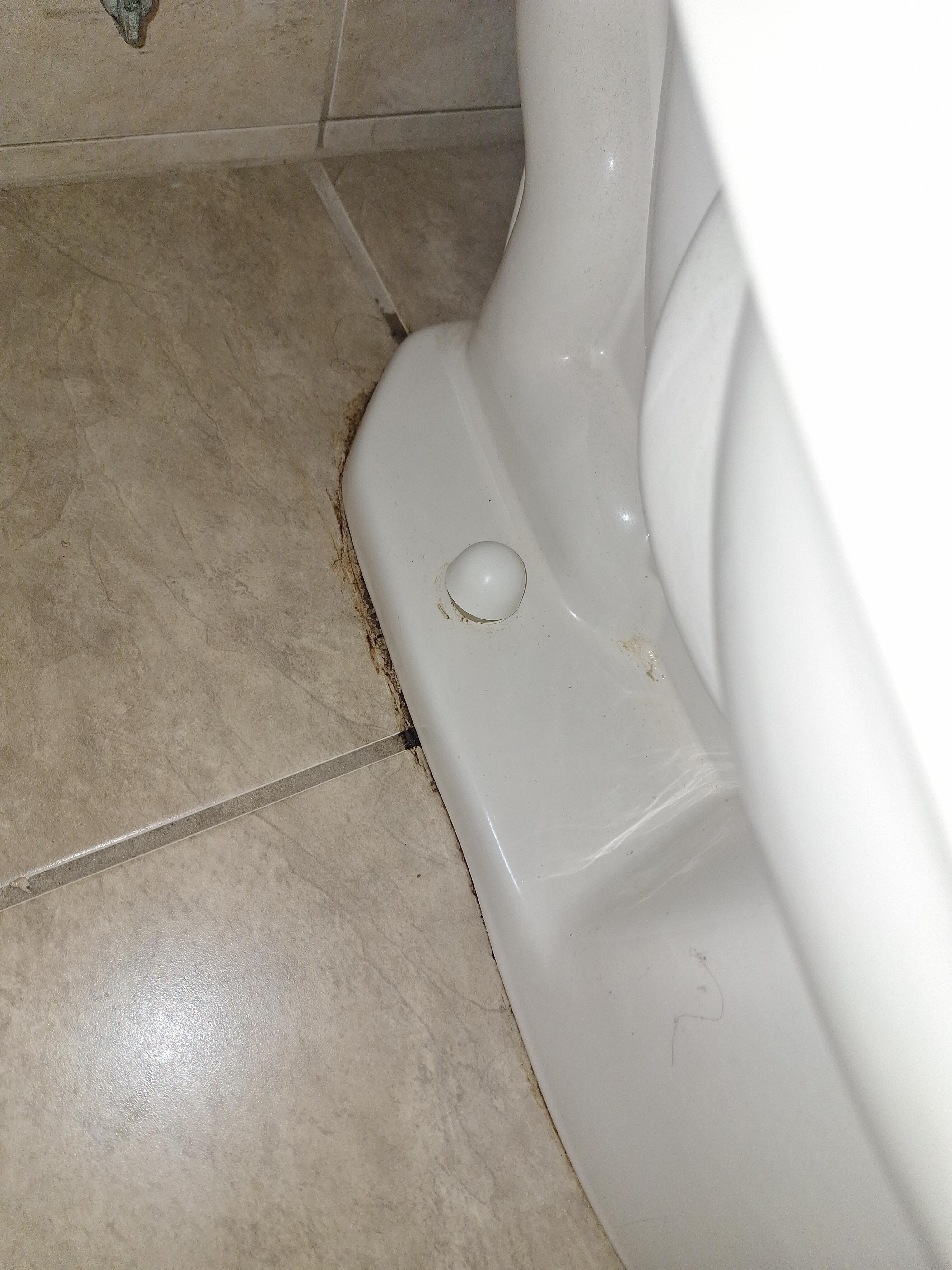 Urine  around toilet 