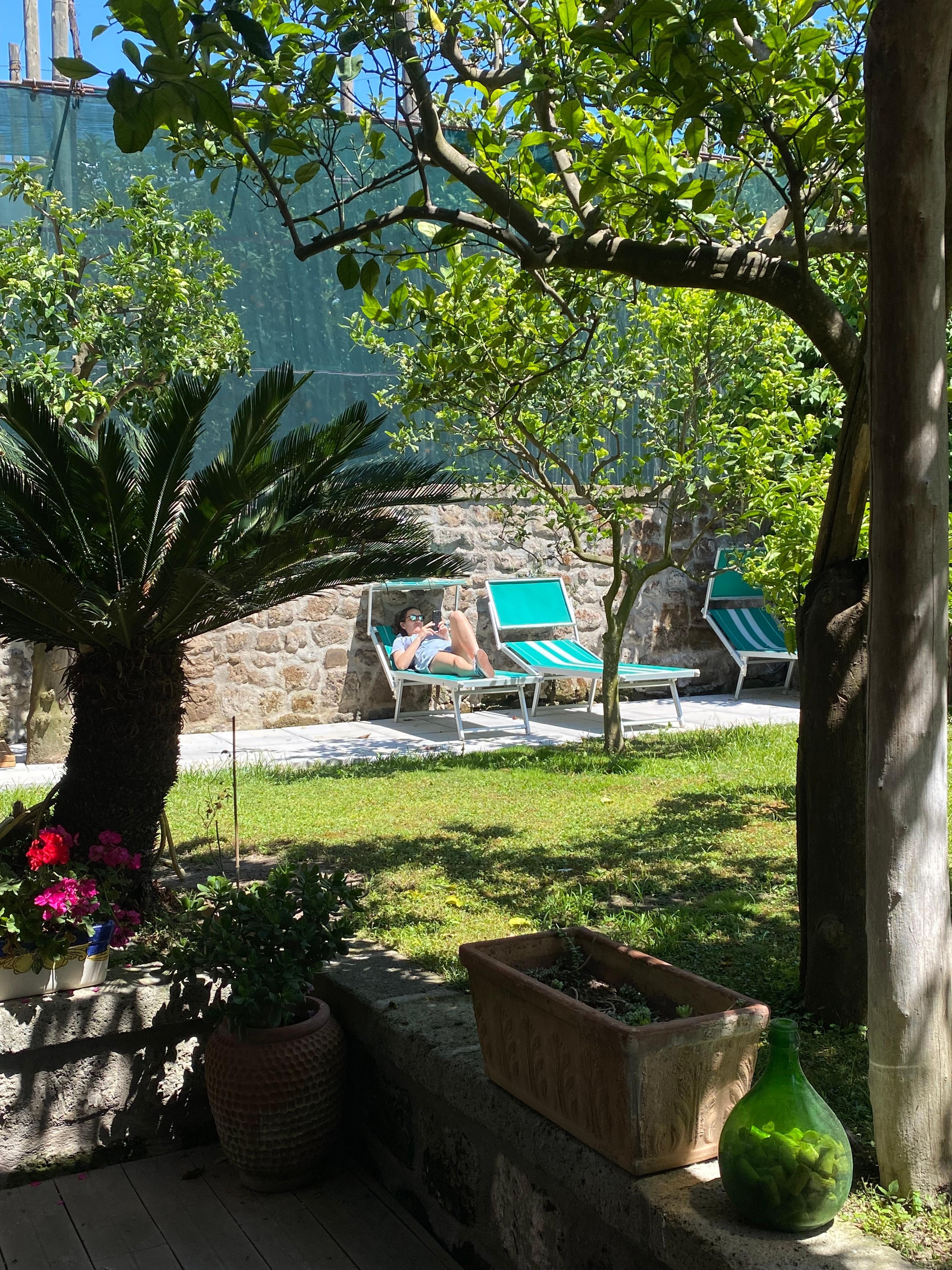 Garden 