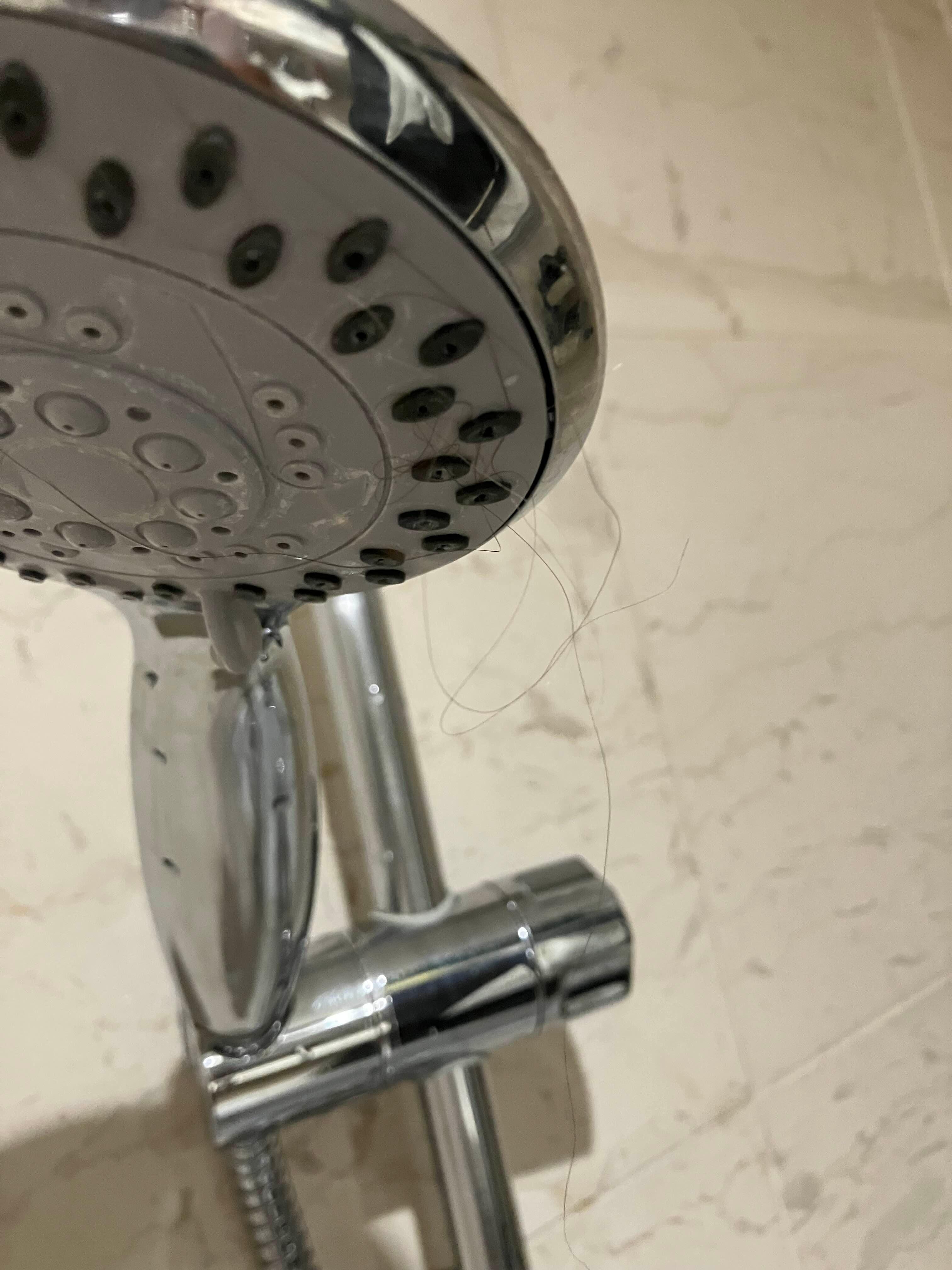 Hair found in the shower head upon arrival