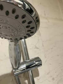 Hair found in the shower head upon arrival