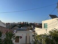 View from the garden