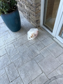 Trash at front entrance