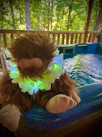 Hot tub on the deck was so relaxing after long days of adventures!